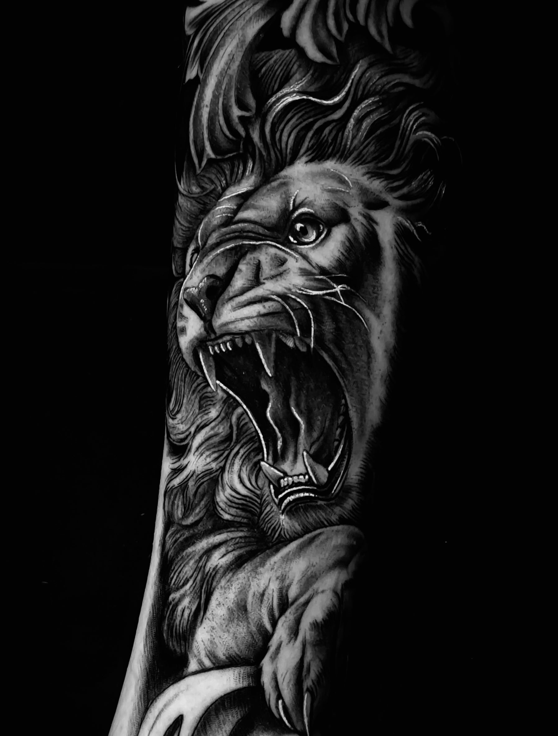 Black and grey roaring lion forearm tattoo in realism style by Sundog Studios tattoo artists in Airdrie Alberta