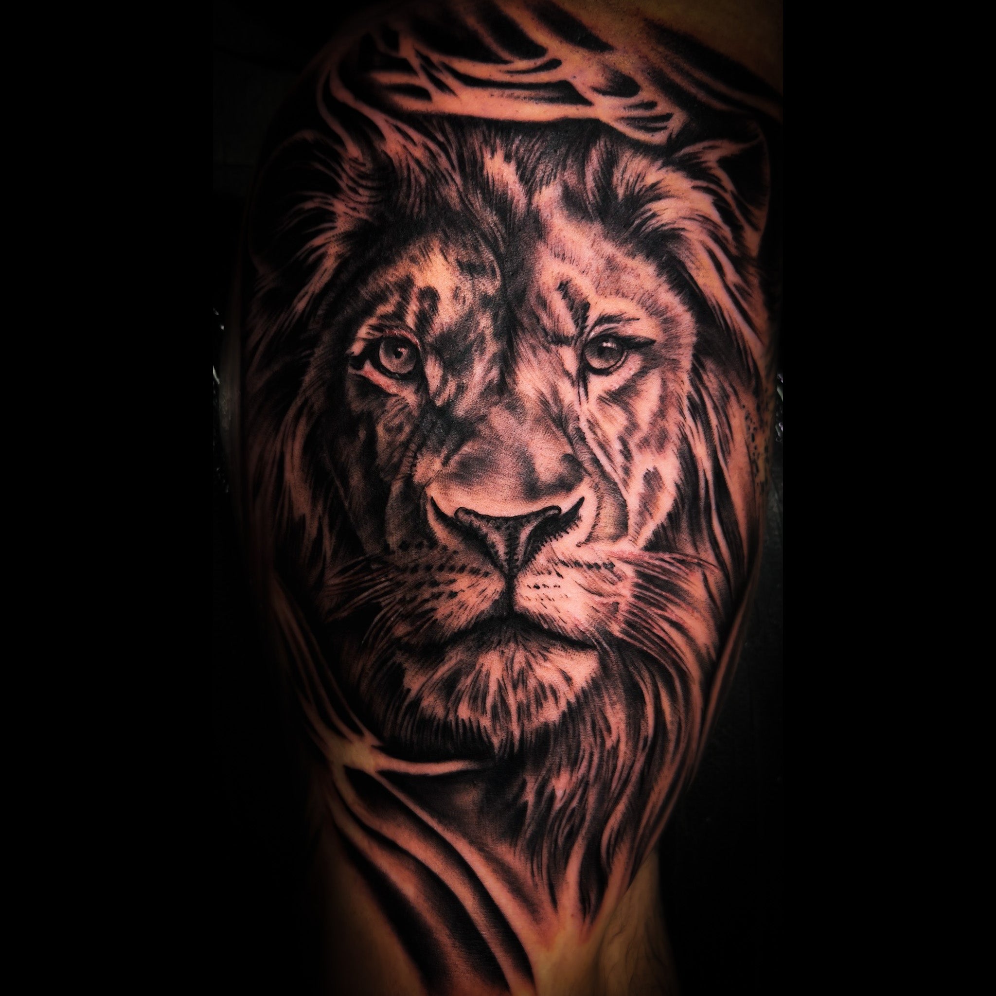 Black and grey realism lion forearm tattoo by Yvon_ink at Sundog Studios in Airdrie Alberta