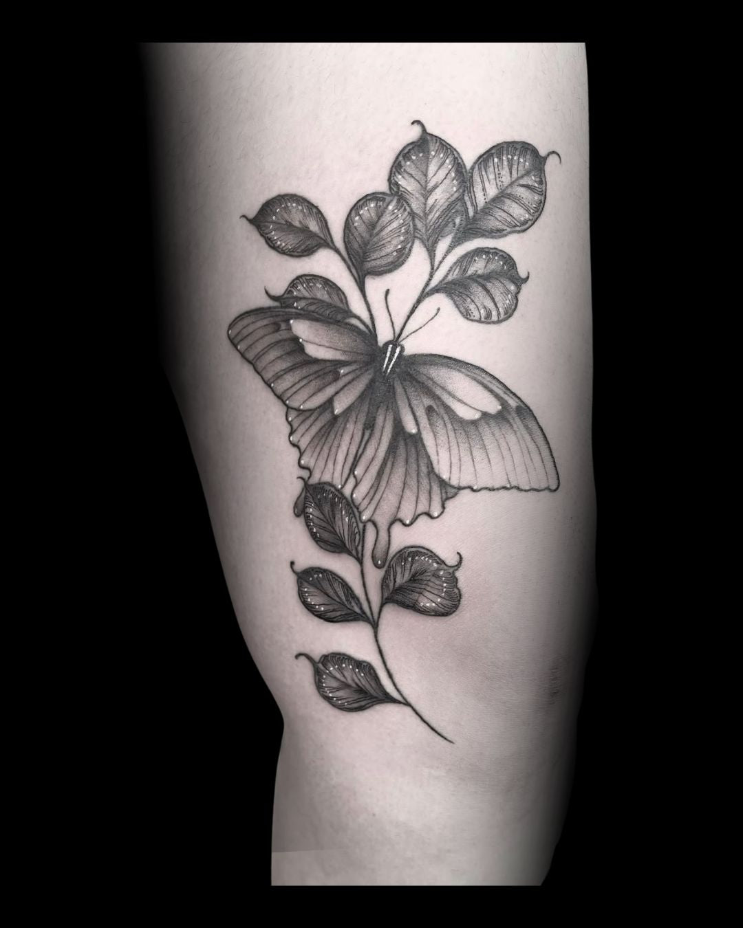 Butterfly tattoo with leaf details on a person's thigh by Mahala, tattoo artist at Sundog Studios in Airdrie Alberta