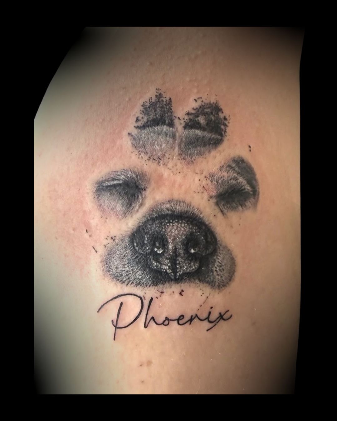 Tattoo of a dog paw with 'Phoenix' written below by Channy, tattoo artist at Sundog Studios at Airdrie Alberta