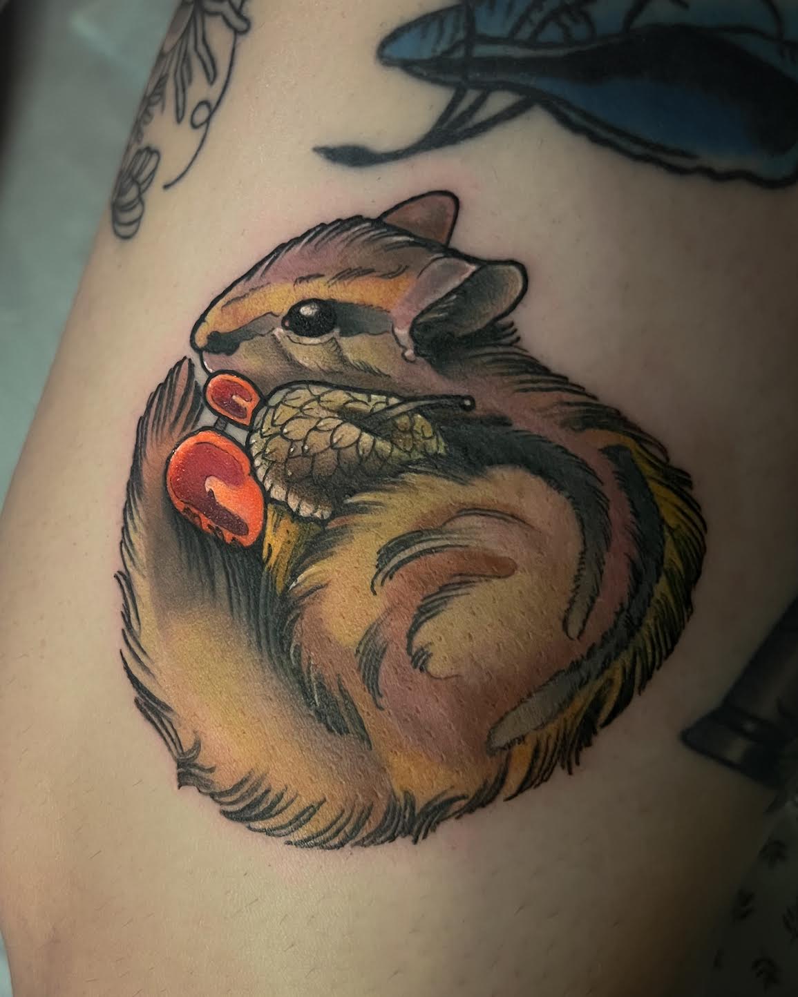 A close-up of a freshly tattooed chipmunk holding red berries on a person's skin, showing detailed black, gray, brown, and orange shading with vibrant red berry accents.